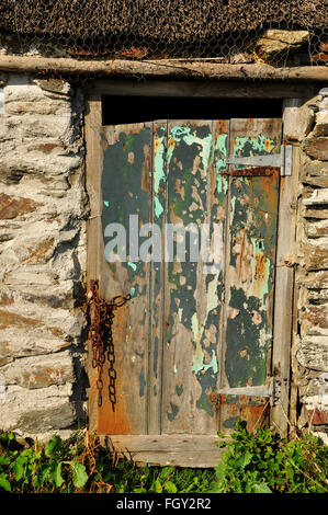 Ancienne porte peinte avec raccords rouillés sur la cabane de pêcheur de chaume, crique de Prusse, Cornwall UK Banque D'Images