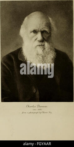 Ce recueil d'essais de 1909 commémore les contributions de Charles Darwin à la science moderne, marquant le centenaire de sa naissance et le 50e anniversaire de « L'origine des espèces ». Banque D'Images