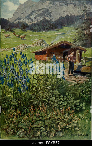 'DAS Leben der Pflanze' (1906) explore le cycle de vie et les processus des plantes, en se concentrant sur la croissance, la reproduction et la physiologie des plantes. Banque D'Images