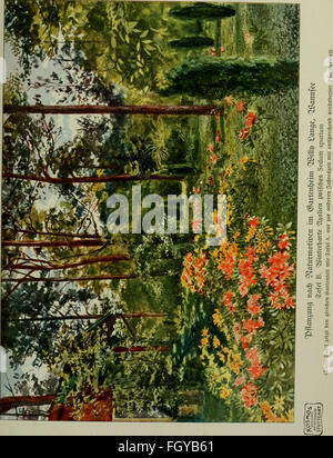 'DAS Leben der Pflanze' (1906) explore le cycle de vie des plantes, offrant une étude approfondie de la biologie végétale, y compris les processus de croissance, la reproduction et les interactions environnementales. Banque D'Images