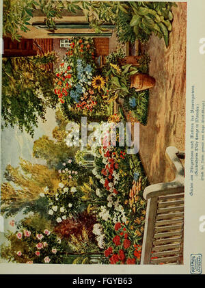 'DAS Leben der Pflanze' (1906), traduit par 'la vie de la plante', est un travail botanique qui explore le cycle de vie, la croissance et le développement des plantes. Banque D'Images