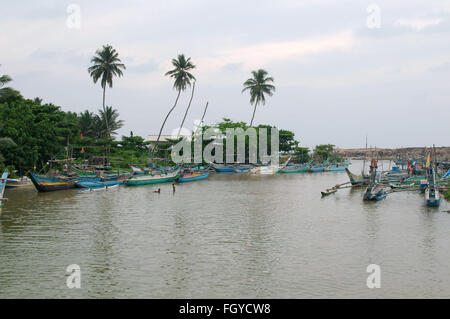 15 janvier 2016 - Sri Lanka - catamaran Bateaux de pêche traditionnels Sri Lanka sont dans le lagon, Hikkaduwa, au Sri Lanka, en Asie du Sud (crédit Image : © Andrey Nekrasov via Zuma sur le fil) Banque D'Images