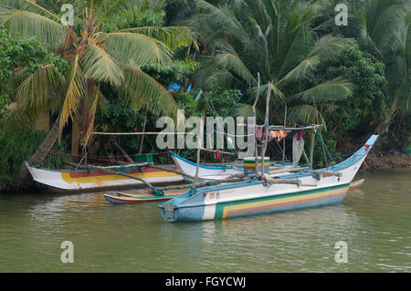 15 janvier 2016 - Sri Lanka - catamaran Bateaux de pêche traditionnels Sri Lanka sont dans le lagon, Hikkaduwa, au Sri Lanka, en Asie du Sud (crédit Image : © Andrey Nekrasov via Zuma sur le fil) Banque D'Images