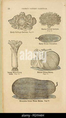 Dreer's garden 1868 Calendrier Banque D'Images