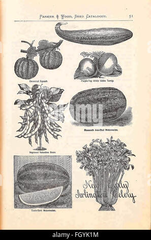 Illustré annuel, catalogue descriptif de semences, plantes, vignes, petits fruits