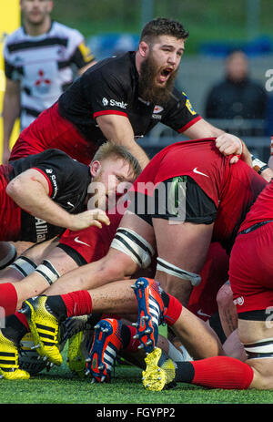 Sarrasins contre Gloucester, Aviva Premiership, Allianz Park, Hendon London UK 20 Février 2016 Banque D'Images