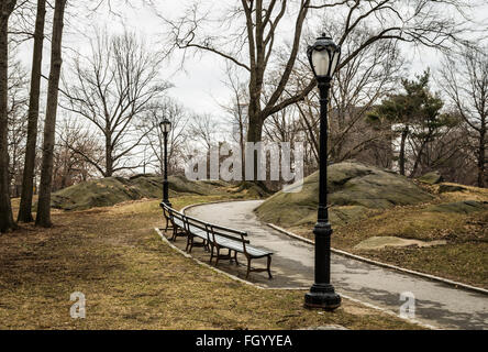 Sentier sinueux dans Central Park, New York, avec des arbres, lampadaires, bancs et en hiver. Banque D'Images