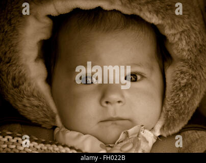 Close up portrait of baby girl d'alerte en hiver Banque D'Images