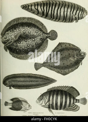 La cyclopaedia ; ou, dictionnaire universel des sciences, des arts et de la littérature. Les plaques (1820) Banque D'Images