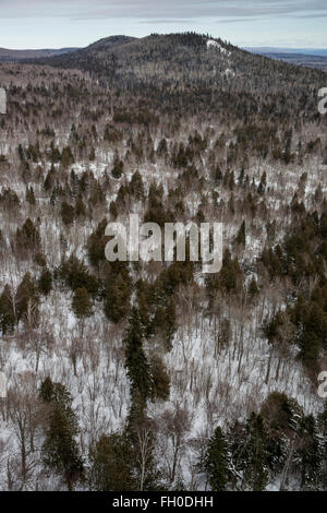 En regardant la Forêt Nationale Supérieure de Oberg Mountain dans le comté de Cook, au Minnesota Banque D'Images