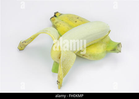 Pisang awak, banane Kluai Nam Wa, cultiver la banane sur fond blanc. Banque D'Images