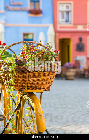 Des fleurs sur un vélo Banque D'Images