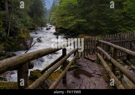 Val Genova in den Dolomiten, Alpen - Val Genova en Dolomites, Alpes Banque D'Images