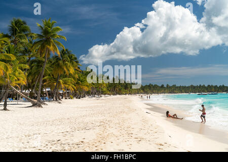 Plage de rêve sur l'île des Caraïbes Isla Saona, en République Dominicaine, Caraïbes, Amérique Latine, Banque D'Images