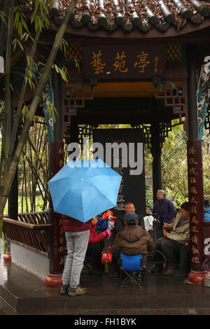 Chengdu, province chinoise du Sichuan. Feb 23, 2016. Les gens jouent aux cartes à la Renmin Park dans de la pluie dans le sud-ouest de Chengdu, capitale de la province chinoise du Sichuan, le 23 février 2016. Chengdu a reçu une légère pluie mardi. Credit : Guo Qiuda/Xinhua/Alamy Live News Banque D'Images