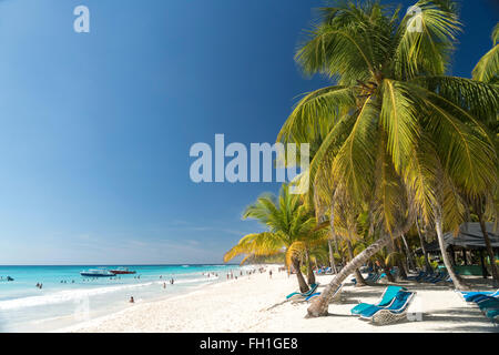 Plage de rêve sur l'île des Caraïbes Isla Saona, en République Dominicaine, Caraïbes, Amérique Latine, Banque D'Images