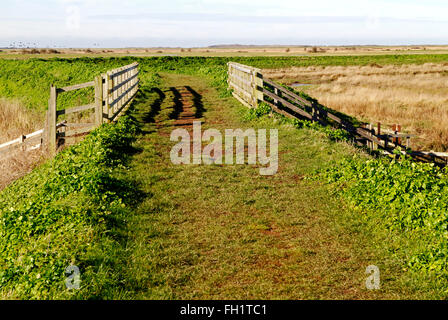 Une vue de la côte de Norfolk par salines sur la côte nord du comté de Norfolk à Burnham Overy, Norfolk, Angleterre, Royaume-Uni. Banque D'Images