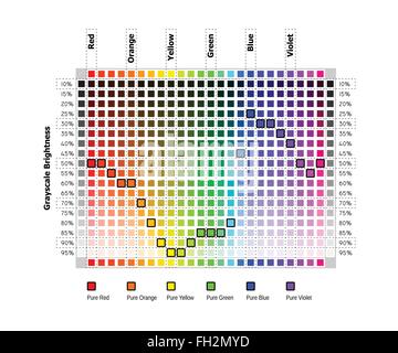 Les valeurs de couleur en niveaux de gris plein Illustration de Vecteur