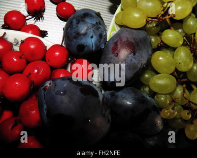 Plum, l'aubépine et du raisin. Sur les plaques sur la table Banque D'Images