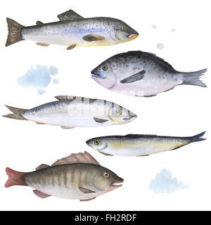 Ensemble de 5 poissons sur aquarelle Banque D'Images