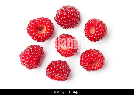 Wineberries japonais comestible rouge Rubus phoenicolasius sur fond blanc Banque D'Images