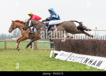 Course de chevaux sautant une clôture dans un endroit à l'autre course de chevaux à Cottenham Cambridgeshire UK Banque D'Images