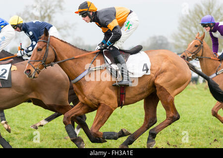 Course de chevaux dans un point à l'autre course de chevaux à Cottenham Cambridgeshire UK Banque D'Images