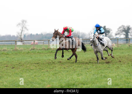 Course de chevaux dans un point à l'autre course de chevaux à Cottenham Cambridgeshire UK Banque D'Images