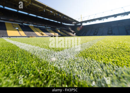 Dortmund, Allemagne. Feb 17, 2016. La hauteur à l'Signal-Iduna-Park Stadium à Dortmund, en Allemagne, le 17 février 2016. PHOTO : GUIDO KIRCHNER/DPA/Alamy Live News Banque D'Images