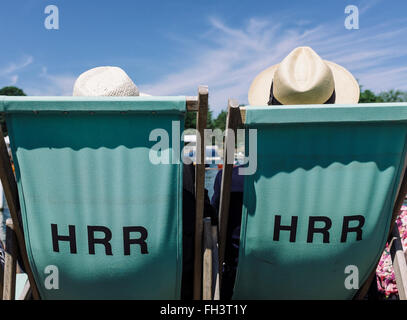 Spectateurs profitez d'une première rangée siège au soleil au Henley Royal Regatta. Banque D'Images