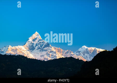 Inspiration montagne paysage magnifique en Himalaya. Himalaya 6993m au pic Machhapuchhare sur ciel coucher de soleil bleu, Banque D'Images