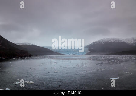 Amalia Glacier sur le bord du canal Sarmiento, Labbe parasite, des glaciers du Parc National Bernardo O'Higgins, Chile Banque D'Images