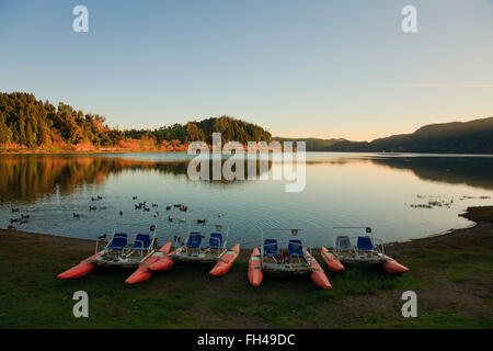 Furnas lake au coucher du soleil. L'île de São Miguel, Açores, Portugal. Banque D'Images