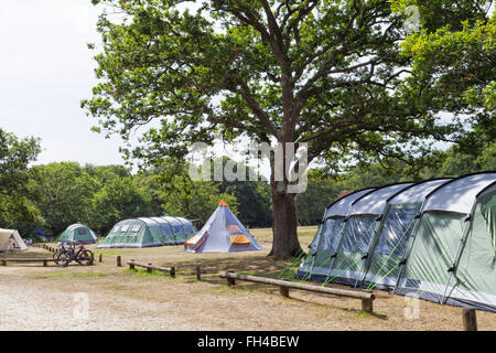 Grande famille tentes, tepee en camping dans les bois à New Forest, en Angleterre, le jour de l'été Banque D'Images