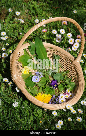 Salade faite de feuilles, herbes, fleurs Banque D'Images