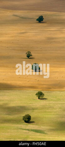 Vue aérienne, champ Wildflecken, terres arables, champ, moraine, Dettmannsdorf, Mecklenburg-Vorpommern, Allemagne, l'Europe vue aérienne, Banque D'Images