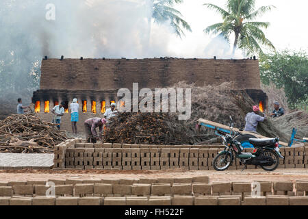 L'Inde, le Tamil Nadu, Pondichéry aera. La vie rurale dans les petits villages, la pauvreté Banque D'Images