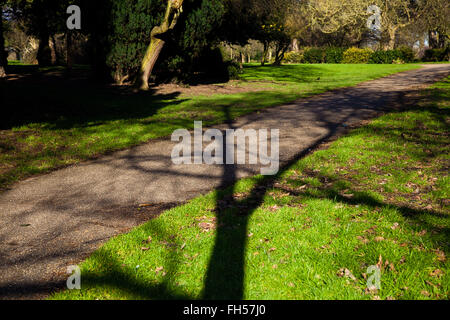 Londres, Royaume-Uni. 23 Février, 2016. Beau matin à Finsbury Park, au nord de Londres de longues ombres des arbres. Credit : Dinendra Haria/Alamy Live News Banque D'Images