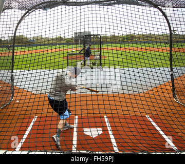 Port Charlotte, en Floride, aux États-Unis. Feb 23, 2016. Vous VRAGOVIC | fois.Rays de Tampa Bay de troisième but Evan Longoria (3) se connecte au cours de la pratique au bâton à l'entraînement de printemps des rayons à Charlotte Sports Park à Port Charlotte, en Floride, le mardi 23 février, 2016. © Vous Vragovic/Tampa Bay Times/ZUMA/Alamy Fil Live News Banque D'Images