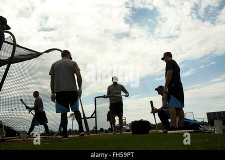 Port Charlotte, en Floride, aux États-Unis. Feb 23, 2016. Vous VRAGOVIC | fois.Rays de Tampa Bay joueurs lors de la pratique au bâton à l'entraînement de printemps des rayons à Charlotte Sports Park à Port Charlotte, en Floride, le mardi 23 février, 2016. © Vous Vragovic/Tampa Bay Times/ZUMA/Alamy Fil Live News Banque D'Images