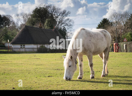 Le village de Hale dans la nouvelle forêt avec un poney sur pâturage vert Hache Banque D'Images