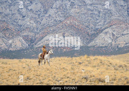 Cowgirl cheval d'équitation en pleine nature, montagnes Rocheuses, Wyoming, USA Banque D'Images