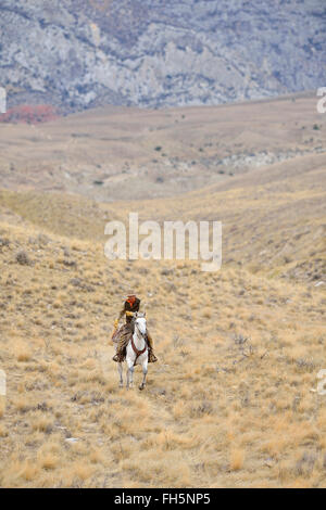 Cheval de cow-boy en désert, montagnes Rocheuses, Wyoming, USA Banque D'Images