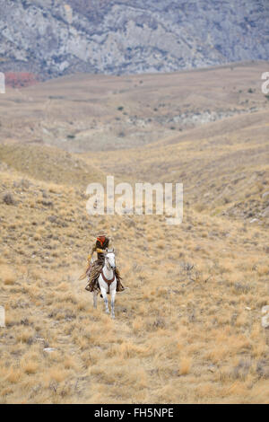 Cheval de cow-boy en désert, montagnes Rocheuses, Wyoming, USA Banque D'Images