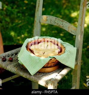 Cherry Pie en dehors de refroidissement sur une chaise Banque D'Images