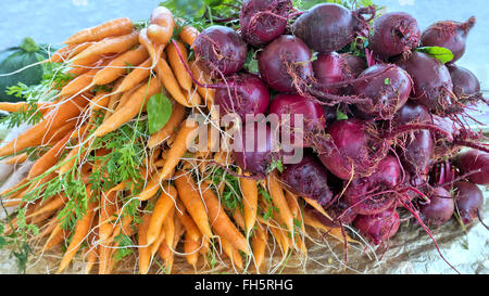 Betteraves « Beta vulgaris » et carottes « Daucus carota » affichées, marché agricole. Banque D'Images