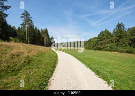 Paysage avec sentier entre la forêt et les prairies à la fin de l'été, Haut-Palatinat, en Bavière, Allemagne Banque D'Images