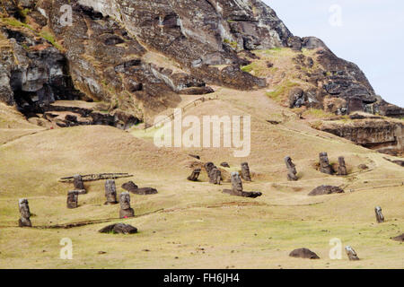 Statues (moai) à Rano Raraku l'île de Pâques, Chili Banque D'Images