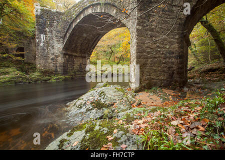 Collection automne journée au Pont Holne, Dartmoor National Park, Devon, Angleterre. Banque D'Images