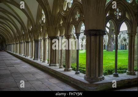 La cathédrale de Salisbury, Wiltshire, Angleterre, Royaume-Uni. Feb 2016 La cathédrale de Salisbury, connu officiellement sous le nom de l'église cathédrale de la Bienheureuse Vierge Marie, est une cathédrale anglicane à Salisbury, en Angleterre, et un des principaux exemples de début de l'architecture anglaise.[1] Le corps principal de la cathédrale a été effectuée en seulement 38 ans, de 1220 à 1258. La cathédrale est le plus haut clocher d'église au Royaume-Uni (123m/404 ft). Les visiteurs peuvent prendre la 'Tour d'' où l'intérieur de la spire creuse, avec ses bois ancien échafaudage, peuvent être consultés. La cathédrale a également le plus grand cloître et les grandes Banque D'Images